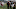 CHICAGO, IL – DECEMBER 24: Head coach Hue Jackson of the Cleveland Browns walks off of the field after the Chicago Bears defeated the Cleveland Browns 20-3 at Soldier Field on December 24, 2017 in Chicago, Illinois. (Photo by Dylan Buell/Getty Images) CHICAGO, IL – DECEMBER 24: Head coach Hue Jackson of the Cleveland Browns walks off of the field after the Chicago Bears defeated the Cleveland Browns 20-3 at Soldier Field on December 24, 2017 in Chicago, Illinois. (Photo by Dylan Buell/Getty Images)