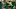 Green Bay Packer safety LeRoy Butler Johnnie Morton Leroy Butler Gbp Vs Detroit Lions Green Bay Packer safety LeRoy Butler Johnnie Morton Leroy Butler Gbp Vs Detroit Lions