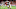 NCAA Football: Florida State at Miami NCAA Football: Florida State at Miami