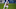 BOCA RATON, FLORIDA – DECEMBER 22: Zach Wilson #1 of the Brigham Young Cougars runs for a touchdown in the first half against the Central Florida Knights at FAU Stadium on December 22, 2020 in Boca Raton, Florida. (Photo by Mark Brown/Getty Images) BOCA RATON, FLORIDA – DECEMBER 22: Zach Wilson #1 of the Brigham Young Cougars runs for a touchdown in the first half against the Central Florida Knights at FAU Stadium on December 22, 2020 in Boca Raton, Florida. (Photo by Mark Brown/Getty Images)