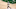 Milwaukee Bucks: Bobby Portis Milwaukee Bucks: Bobby Portis
