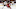 New Jersey Devils New Jersey Devils