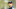 PORT CHARLOTTE, FLORIDA – FEBRUARY 24: Manager Aaron Boone #17 of the New York Yankees looks on prior to the Grapefruit League spring training game against the Tampa Bay Rays at Charlotte Sports Park on February 24, 2019 in Port Charlotte, Florida. (Photo by Michael Reaves/Getty Images) PORT CHARLOTTE, FLORIDA – FEBRUARY 24: Manager Aaron Boone #17 of the New York Yankees looks on prior to the Grapefruit League spring training game against the Tampa Bay Rays at Charlotte Sports Park on February 24, 2019 in Port Charlotte, Florida. (Photo by Michael Reaves/Getty Images)