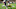 NFL Fantasy NFL Fantasy