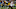 Green Bay Packers