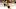 nashville Predators nashville Predators