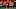 Frenkie De Jong of FC Barcelona. (Photo by Manuel Queimadelos/Quality Sport Images/Getty Images) Frenkie De Jong of FC Barcelona. (Photo by Manuel Queimadelos/Quality Sport Images/Getty Images)
