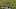 Boston Red Sox Boston Red Sox