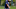 New England Patriots New England Patriots