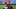 Nick Pope Liverpool transfer news Nick Pope Liverpool transfer news