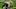 New Orleans Saints New Orleans Saints