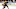 Boston Bruins