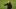 Real Madrid, Zinedine Zidane Real Madrid, Zinedine Zidane
