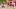 Kansas City Chiefs Jeremy Maclin Kansas City Chiefs Jeremy Maclin