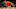 NBA Portland Trail Blazers Malcolm Brogdon