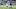 Dallas Cowboys Dallas Cowboys