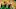 Boston Celtics
