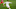 Real Madrid, Isco Real Madrid, Isco