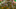 Photo by Dan Istitene – Formula 1/Formula 1 via Getty Images Photo by Dan Istitene – Formula 1/Formula 1 via Getty Images