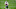 Carson Strong, 2022 NFL Draft Carson Strong, 2022 NFL Draft