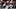 Texas A&M football defenders tackle KJ Jefferson Texas A&M football defenders tackle KJ Jefferson