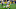 Dallas Cowboys Dallas Cowboys