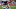 NFL NFL