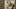 Home for Christmas – Credit: Stefan Borup / Netflix Home for Christmas – Credit: Stefan Borup / Netflix