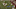 Screen Shot 2016-05-11 at 5.26.39 PM