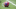 Buffalo Bills Buffalo Bills