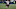 SEATTLE, WA – NOVEMBER 05: Wide receiver Brian Quick #83 of the Washington Redskins catches a long pass in front of Justin Coleman #28 of the Seattle Seahawks during the fourth quarter of the game at CenturyLink Field on November 5, 2017 in Seattle, Washington. The Redskins won 17-14. (Photo by Steve Dykes/Getty Images) SEATTLE, WA – NOVEMBER 05: Wide receiver Brian Quick #83 of the Washington Redskins catches a long pass in front of Justin Coleman #28 of the Seattle Seahawks during the fourth quarter of the game at CenturyLink Field on November 5, 2017 in Seattle, Washington. The Redskins won 17-14. (Photo by Steve Dykes/Getty Images)