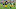 Green Bay Packers