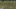 1111