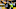 PITTSBURGH, PA – DECEMBER 31: Landry Jones (Photo by Justin Berl/Getty Images) PITTSBURGH, PA – DECEMBER 31: Landry Jones (Photo by Justin Berl/Getty Images)