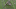 GIF via SB Nation GIF via SB Nation
