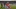 Kokcu has evolved into the complete midfielder under Arne Slot. (Photo by ANP via Getty Images) Kokcu has evolved into the complete midfielder under Arne Slot. (Photo by ANP via Getty Images)