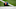 Illinois football
