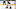 Boston Bruins Boston Bruins
