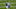 Minnesota Vikings Minnesota Vikings
