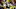 Green Bay Packers Green Bay Packers