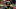 Oregon football Kayvon Thibodeaux Oregon football Kayvon Thibodeaux