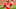 Matthew Liberatore, St. Louis Cardinals Matthew Liberatore, St. Louis Cardinals