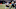 chicago bears-ka'deem carey chicago bears-ka'deem carey