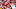KANSAS CITY, MISSOURI – SEPTEMBER 12: Quarterback Patrick Mahomes #15 of the Kansas City Chiefs in action during the game against the Cleveland Browns at Arrowhead Stadium on September 12, 2021 in Kansas City, Missouri. (Photo by Jamie Squire/Getty Images) KANSAS CITY, MISSOURI – SEPTEMBER 12: Quarterback Patrick Mahomes #15 of the Kansas City Chiefs in action during the game against the Cleveland Browns at Arrowhead Stadium on September 12, 2021 in Kansas City, Missouri. (Photo by Jamie Squire/Getty Images)