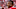 Aug 14, 2016; Santa Clara, CA, USA; San Francisco 49ers offensive tackle Trent Brown (77) watches the game against the Houston Texans in the third quarter at Levi's Stadium. Houston defeated San Francisco 24-13. Mandatory Credit: John Hefti-USA TODAY Sports Aug 14, 2016; Santa Clara, CA, USA; San Francisco 49ers offensive tackle Trent Brown (77) watches the game against the Houston Texans in the third quarter at Levi's Stadium. Houston defeated San Francisco 24-13. Mandatory Credit: John Hefti-USA TODAY Sports