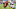 Chicago Bears, Kerrith Whyte Jr Chicago Bears, Kerrith Whyte Jr
