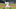 Chicago Cubs, Daniel Norris Chicago Cubs, Daniel Norris