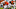 Chicago Bears Chicago Bears