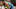 Eddie Jones, Charlotte Hornets Eddie Jones, Charlotte Hornets