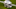 Raiders, NFL rumors Raiders, NFL rumors